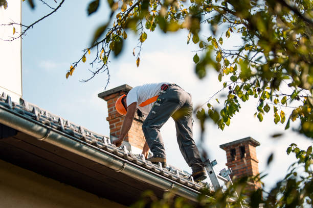 Best Sealant for Roof  in Eaton Rapids, MI