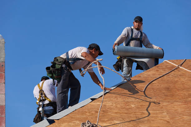 Best Gutter Installation and Roofing  in Eaton Rapids, MI