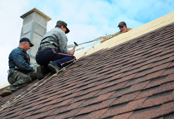 Best Roof Repair Specialists  in Eaton Rapids, MI